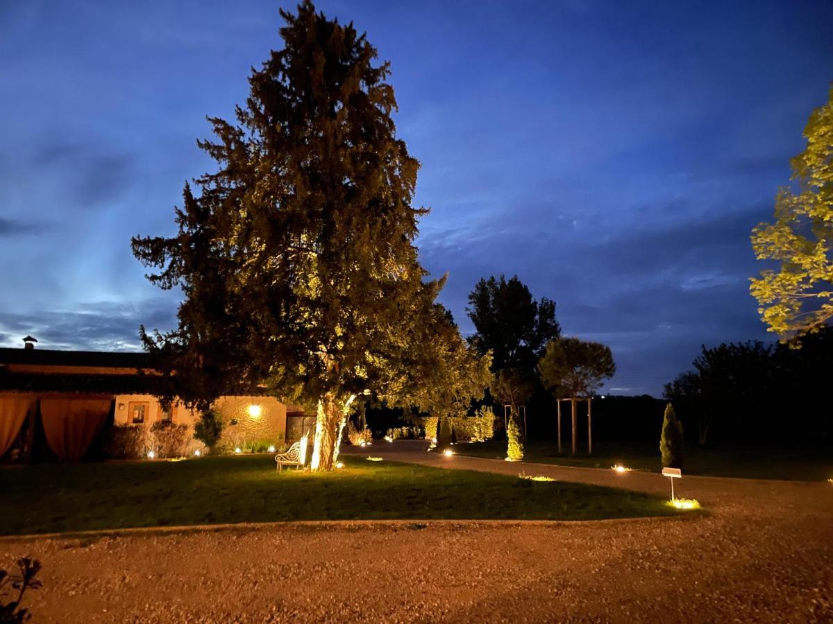 Chateau Du Go Albi Exterior photo