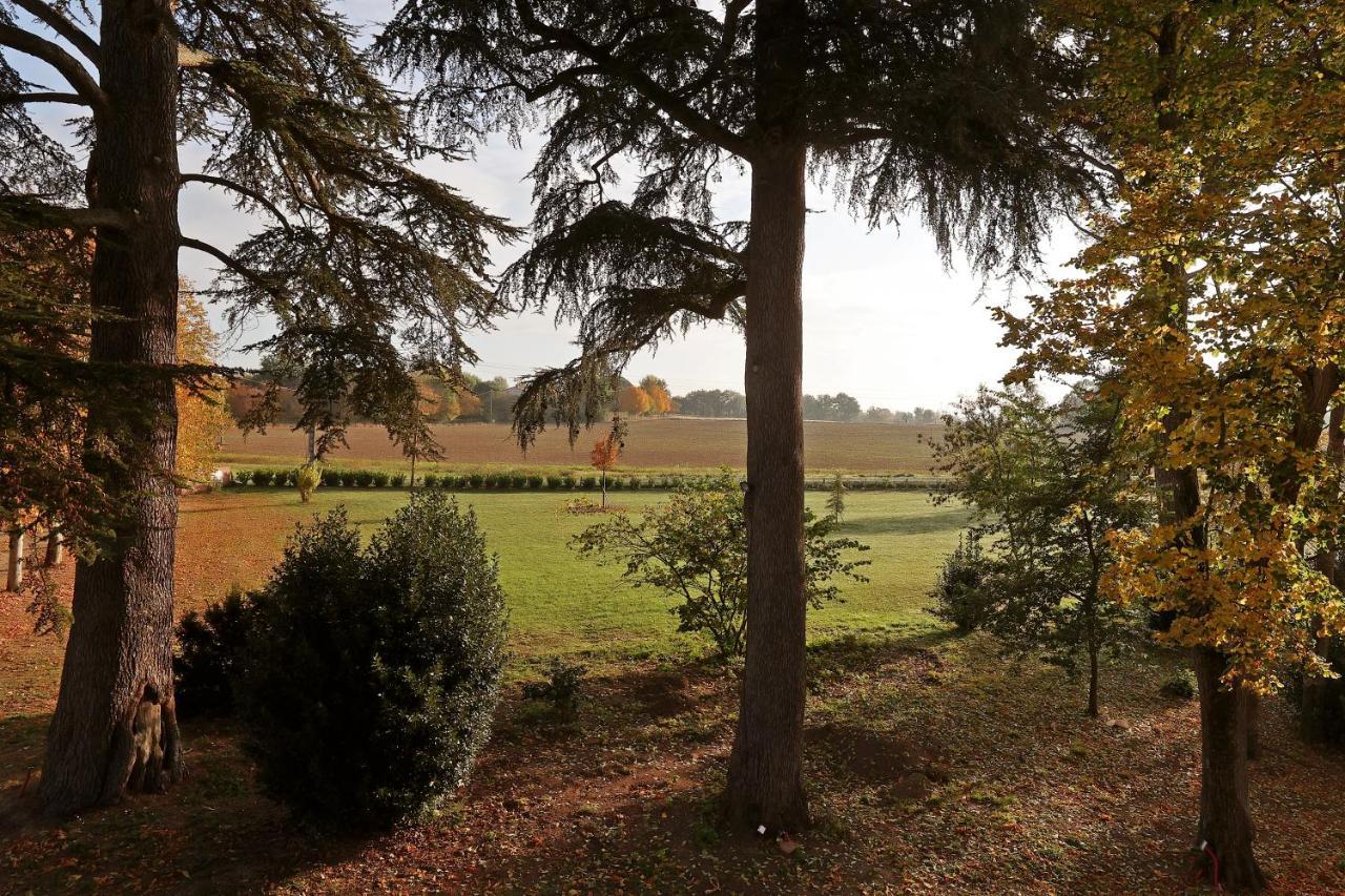 Chateau Du Go Albi Exterior photo